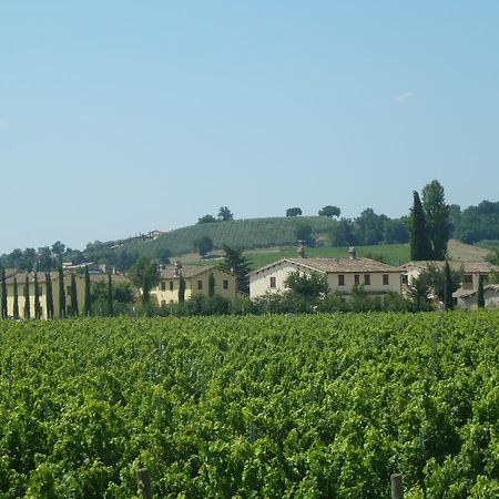 Agriturismo Villaggio Green 몬테팔코 외부 사진