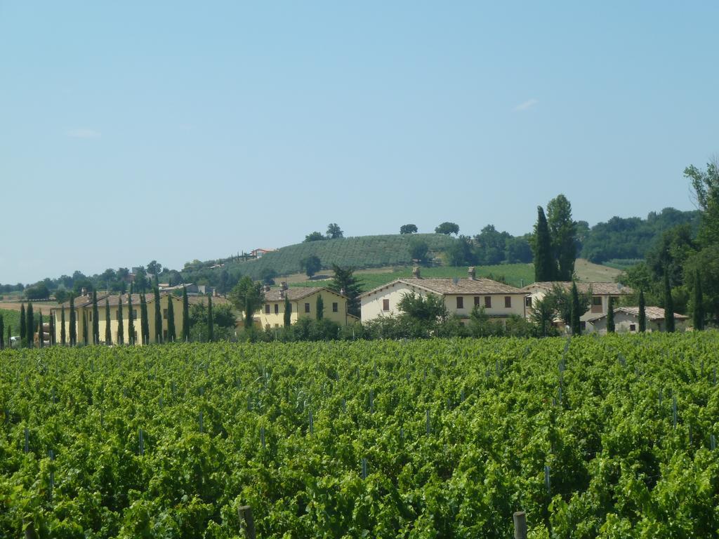 Agriturismo Villaggio Green 몬테팔코 외부 사진
